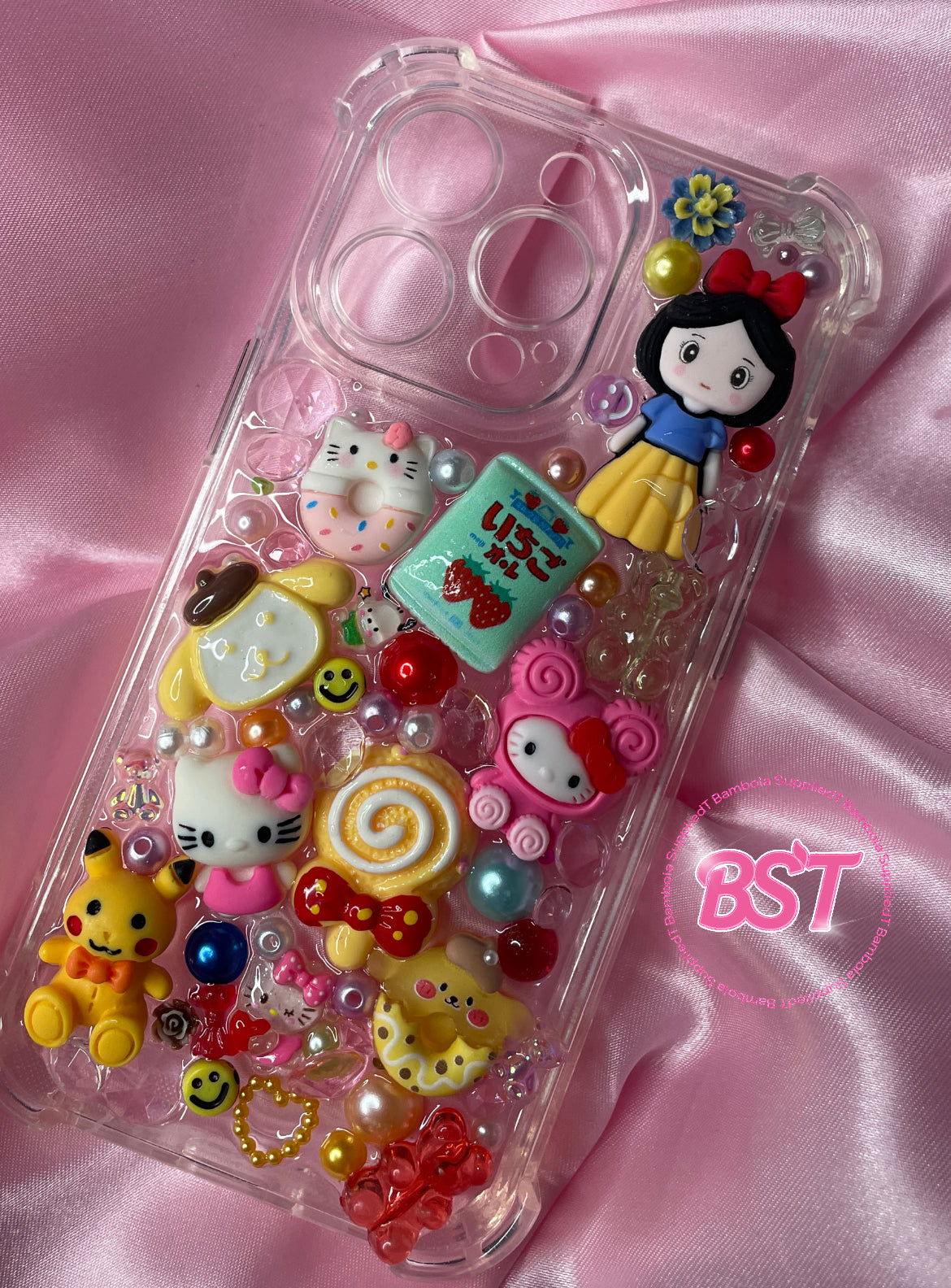 iPhone 13 Pro SW case